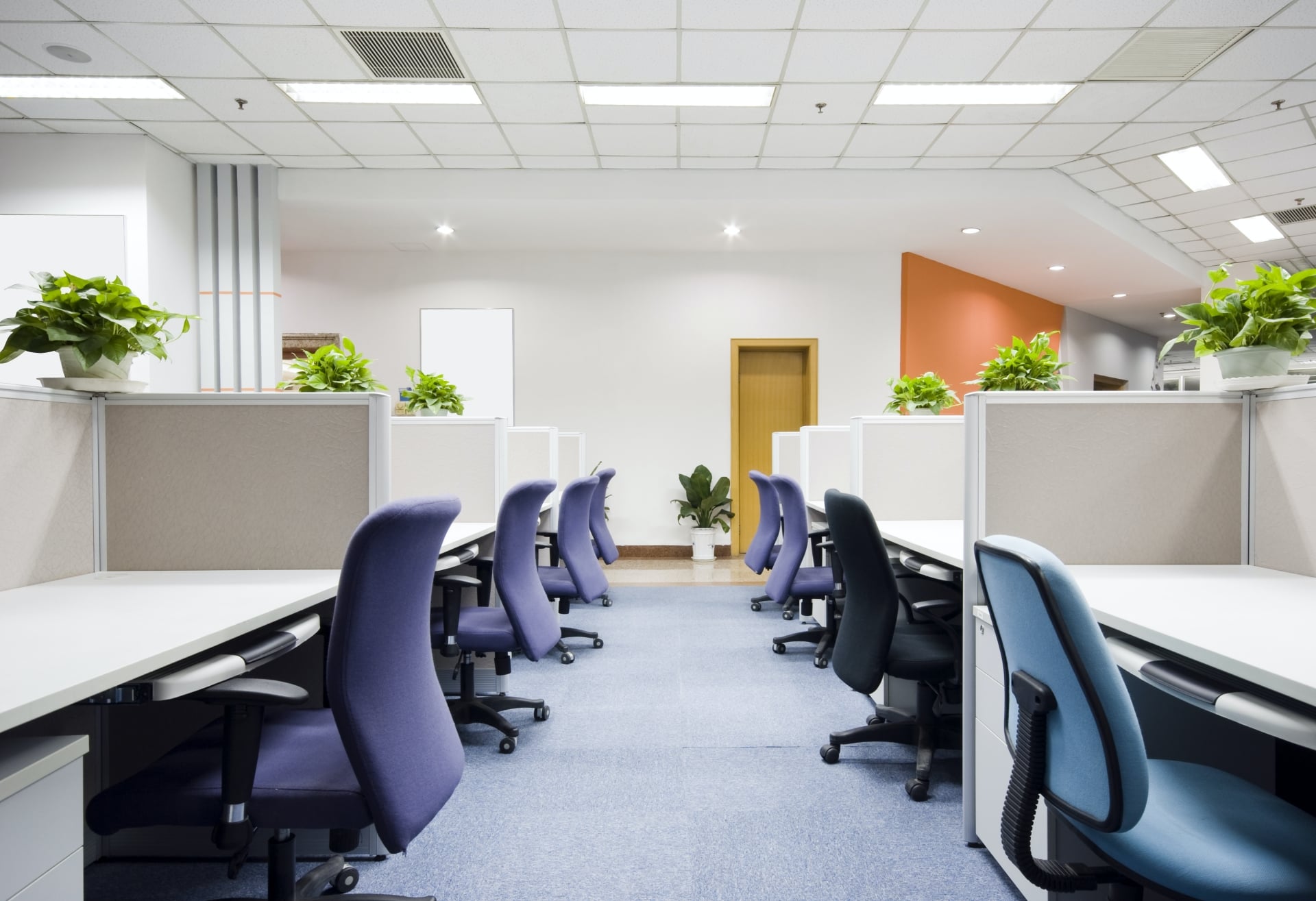 office with cubicles and chairs