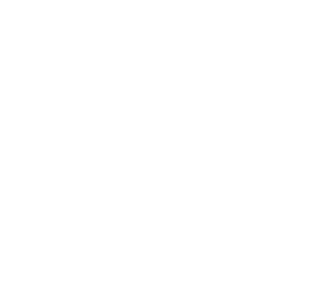 sfi-logo-large-white